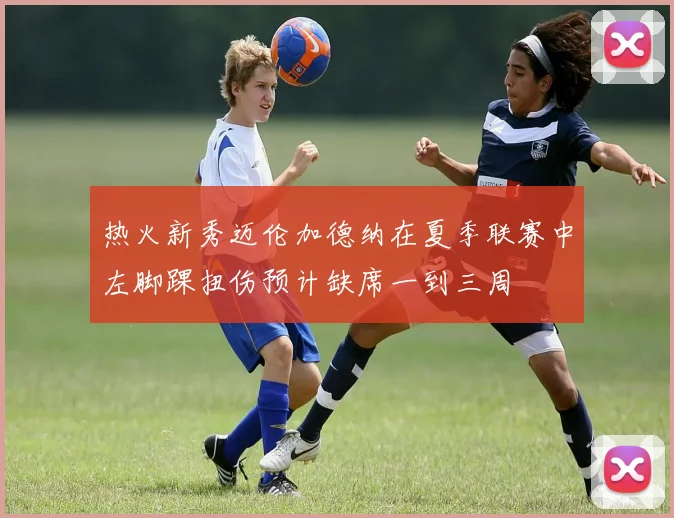 热火新秀迈伦加德纳在夏季联赛中左脚踝扭伤预计缺席一到三周